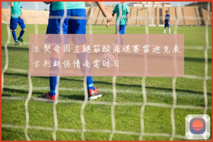 东契奇因左腿筋酸痛退赛雷迪克表示判断伤情尚需时日